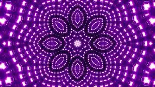 Flickering Neon LED Mandala Lamps Visual Art for Music Beat