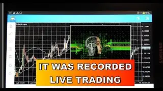Matering Hammer Candlestick pattern for wining Trades in MetaTrader 5: Smart Expert Advisor