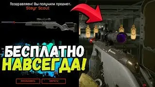 КАК ПОЛУЧИТЬ Steyr Scout НАВСЕГДА АБСОЛЮТНО БЕСПЛАТНО В WARFACE!? ВСЯ ХАЛЯВА ВАРФЕЙС 2019!