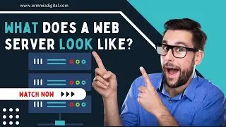 WEB SERVER:  What Does a Web Server Look Like?