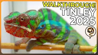 The Complete 2025 NARBC Tinley Park Show Walkthrough!