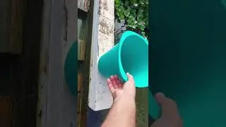 As Ultimas Gift do Sistema de Criação saalada