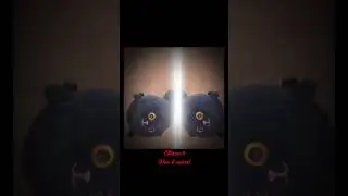 [Свёкла]-Аапп,где эти 20 котят?..#понятно
