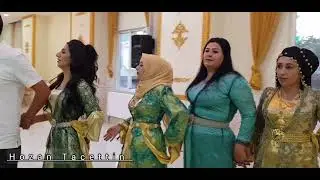 Hozan Tacettin - Barzan ja3far Danishtni
