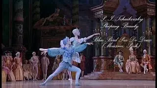 Sleeping Beauty - Blue Bird Pas de Deux (Moussin, Pech)