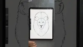 How to draw a lion