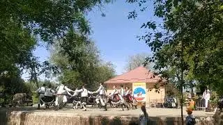 Сегодня в Вулканештах отметили гагаузкий праздник Хедерлез