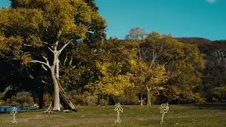 Cavetown - wasabi