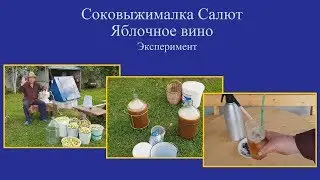 Соковыжималка САЛЮТ Яблочное вино Эксперимент