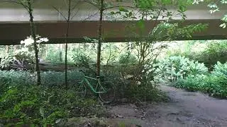 Trail Under the Bridge
