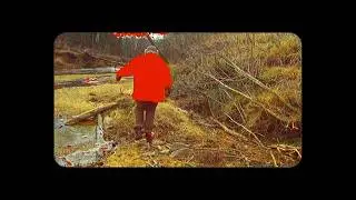 Anjimile - Waits For Me (Official Visualizer)