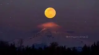Бұл Музыканы  тындасан  Өзгеріп  кетесін