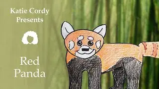 How to Draw a Red Panda