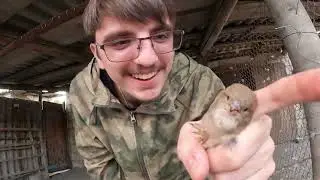 ОХОТА НА ВОРОБЬЕВ - ЭТО ОТРЫВ БОШКИ