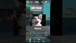 Can you bark for me? // Valorant funny voice chat