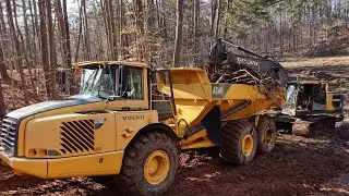 Making The First Cut On The Pond Dredging