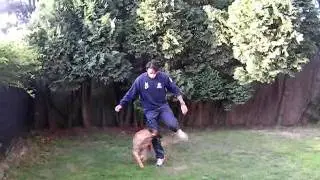 STSK9 UltimateControl at 12 months