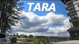 SERBIA | Zlatibor - Mitrovac na Tari |