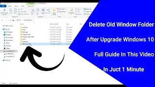 How To Delete Old Windows 10 Folder | Delete Previous Windows Installation | Umar Sultan