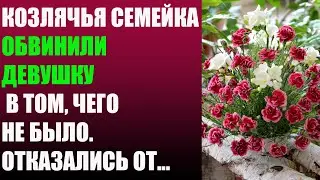 Козлячья семейка обвинили девушку в том, чего не было. Отказались от...