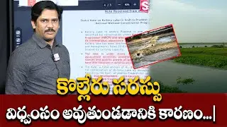 కొల్లేరు సరస్సు విధ్వంసం అవుతుండడానికి కారణం..? | Intresting Facts About kollery Lake #KolleruLake