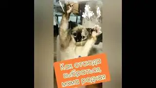 Попала в необъяснимый вакуум..