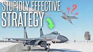 HUMILIATING FLIGHT SIM PLAYERS WITH THIS STUPID STRATEGY - DCS World J-11 Gameplay