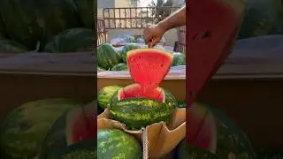 Дагестан - Иран арбузы 🍉
