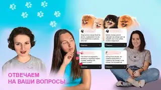 Страх одиночества у собак. Ребенок и собака. ТиТач для маленьких собак.