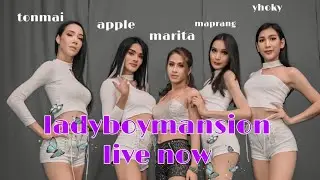 Saturday Livestream with The Transangels