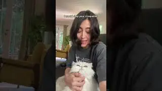how much you love your cat? me: #shiadanni #comedy #dimitri #humor