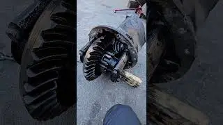 Low differential oil level broken differential #freightlinercascadia #franciscoamaya #trucking