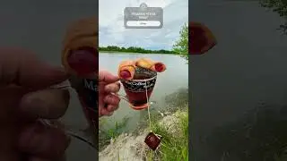 Пусть у Каждого,Все будет Хорошо!
