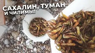 Sakhalin, fog and chili!