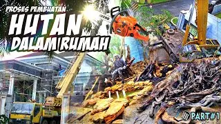 Membuat Hutan Hujan di Tengah Rumah // part 1