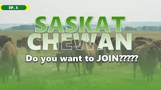 Let's learn about S5S process of SASKATCHEWAN Canada |EP.3| Moon raj chowdhury