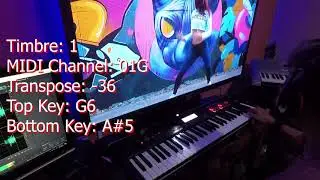 Korg Kross 2 - Loop Cover What Is  Love