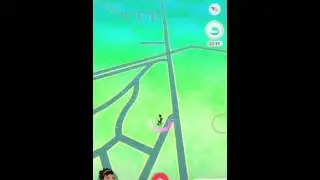 🔴 BUG INCENSE INFINITO (POKEMON GO)