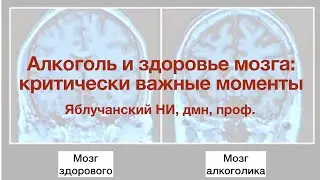 Алкоголь и здоровье мозга: критически важные моменты