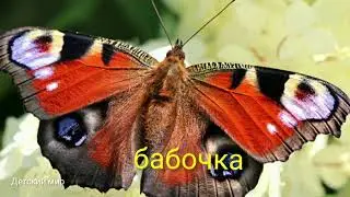 Загадки про лето детям на русском языке 