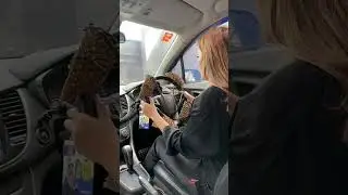 ajarin ayang bawa mobil