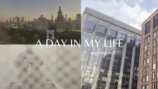 Day in My Life | Work Vlog |  Weekend Vlog | NYU Open House