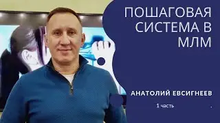 A Step-by-Step System in the 