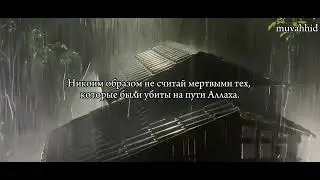 Красивое чтение Корана / Мухьаммад Аль-Люхьайдан Сура Али Имран Аяты 166-175