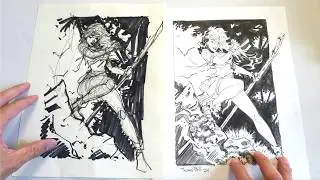 What do DAILY DRAWINGS look like?