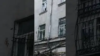 Спасатели и упавшее дерево. #мчс #мчсроссии #службаспасения #помощьлюдям #служба #спасатели