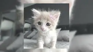 🎧плейлист крутых песен с зимним вайбом🎧 (speed up)