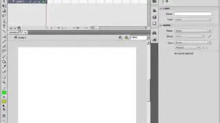 025  Слои в Adobe Flash CS4
