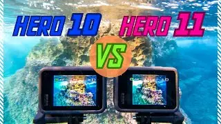 Hinter den Kulissen | GoPro HERO 11 im ULTIMATIVEN Test unter WASSER + VERGLEICH zur HERO 10