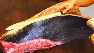 Masterful Bluefin Tuna Breakdown: Otoro & Akami Cutting Perfection!
